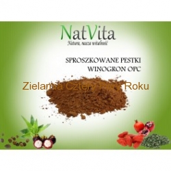 OPC Sproszkowane pestki winogron 100 g NatVita